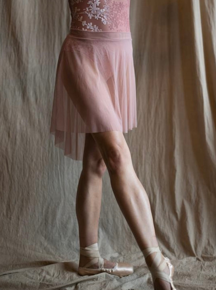 Xiao Xiao Ava Mesh Skirt