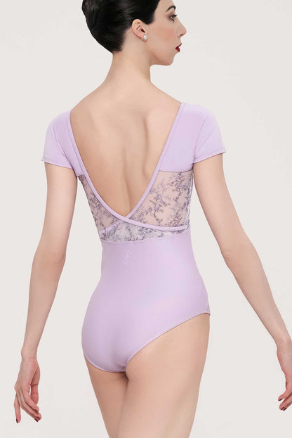 Miosotis wearmoi